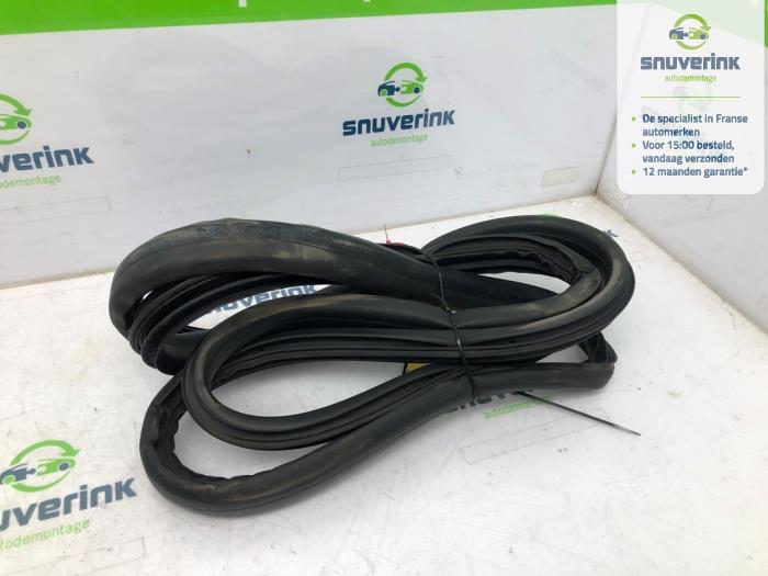 Främre dörrtätning, 4-dörrars, höger från en Renault Scénic III (JZ) 1.5 dCi 110 2013