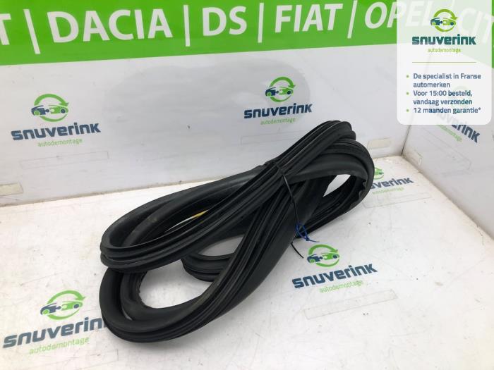 Främre dörrtätning, 4-dörrars, vänster från en Renault Scénic III (JZ) 1.5 dCi 110 2013