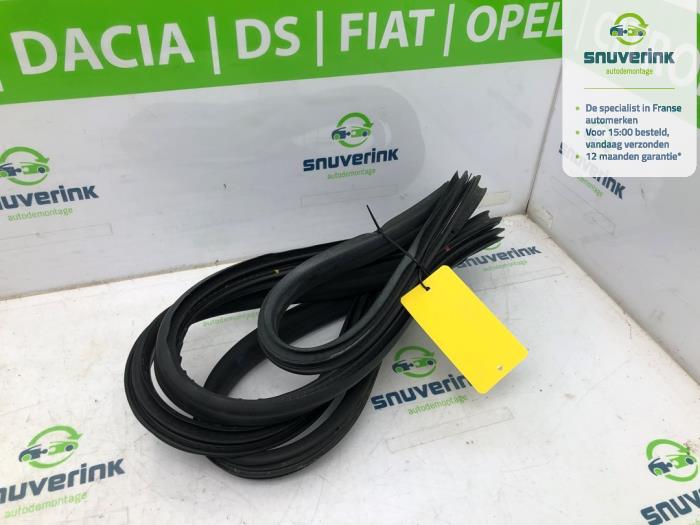 Främre dörrtätning, 4-dörrars, vänster från en Renault Scénic III (JZ) 1.5 dCi 110 2013