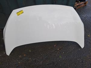 Używane Maska Ford Ka II 1.2 Cena € 200,00 Procedura marży oferowane przez de Nollen autorecycling