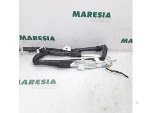 Używane Kurtyna prawa Fiat Panda/Pandina (312) 0.9 TwinAir Turbo 85 Cena € 60,00 Procedura marży oferowane przez Maresia Parts