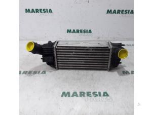 Gebruikte Intercooler Citroen C5 III Tourer (RW) 2.0 HDiF 16V Prijs € 50,00 Margeregeling aangeboden door Maresia Parts