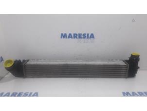 Begagnade Laddluftkylare Renault Megane III Grandtour (KZ) 1.5 dCi 110 Pris € 40,00 Marginaltabell erbjuds av Maresia Parts