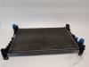 Radiateur van een Fiat Punto III (199) 1.3 JTD Multijet 85 16V 2013
