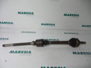 Używane Os napedowa prawy przód Peugeot 406 (8B) 1.8 16V Cena € 40,00 Procedura marży oferowane przez Maresia Parts