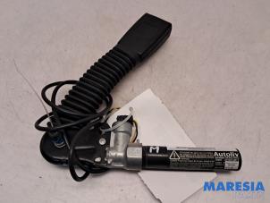 Begagnade Främre bältessträckare, mitten Fiat Ducato (250) 2.3 D 120 Multijet Pris € 62,50 Marginaltabell erbjuds av Maresia Parts