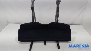 Używane Pólka tylna Peugeot 206+ (2L/M) 1.4 XS Cena € 25,00 Procedura marży oferowane przez Maresia Parts