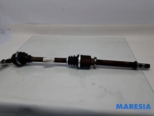 Używane Os napedowa prawy przód Renault Kangoo Express (FW) 1.5 dCi 75 Cena € 84,70 Z VAT oferowane przez Maresia Parts