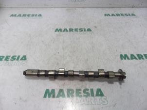 Gebruikte Nokkenas Fiat Panda (169) 1.2 Fire Prijs € 75,00 Margeregeling aangeboden door Maresia Parts