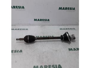 Gebruikte Aandrijfas links-voor Renault Twingo II (CN) 1.2 16V Prijs € 65,00 Margeregeling aangeboden door Maresia Parts