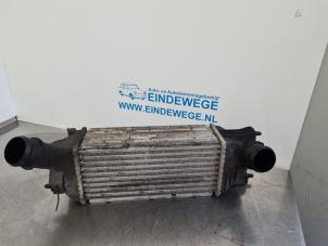 Gebruikte Intercooler Peugeot 407 SW (6E) 1.6 HDi 16V Prijs € 35,00 Margeregeling aangeboden door Auto- en demontagebedrijf Eindewege