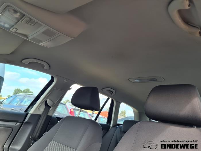 Hemelbekleding van een Volkswagen Golf V Variant (1K5) 1.4 TSI 122 16V 2009