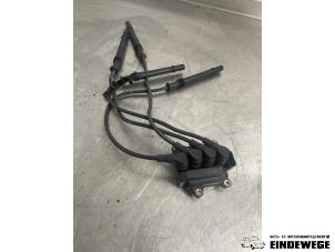 Gebruikte Bobine Renault Clio III (BR/CR) 1.2 16V 75 Prijs € 25,00 Margeregeling aangeboden door Auto- en demontagebedrijf Eindewege