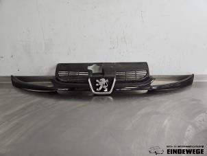 Gebruikte Grille Peugeot 206 CC (2D) 1.6 16V Prijs € 25,00 Margeregeling aangeboden door Auto- en demontagebedrijf Eindewege