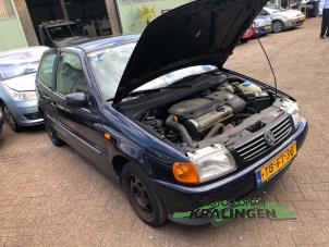 Begagnade Skärmspegel, höger Volkswagen Polo III (6N1) 1.4i 60 Pris € 29,99 Marginaltabell erbjuds av Autosloperij Kralingen B.V.