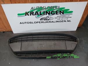 Begagnade Grill Ford Fiesta 6 (JA8) 1.4 TDCi Pris € 49,98 Marginaltabell erbjuds av Autosloperij Kralingen B.V.