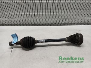 Używane Os napedowa lewy przód Volkswagen Golf V (1K1) 1.6 FSI 16V Cena € 35,00 Procedura marży oferowane przez Renkens Auto-Onderdelen B.V.