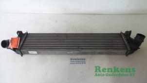 Gebruikte Intercooler Ford C-Max (DM2) 2.0 TDCi 16V Prijs € 50,00 Margeregeling aangeboden door Renkens Auto-Onderdelen B.V.