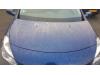 Renault Clio III (BR/CR) 1.5 dCi 85 Motorkap