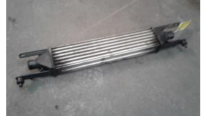 Begagnade Laddluftkylare Fiat Punto Evo (199) 1.3 JTD Multijet 85 16V Euro 5 Pris på förfrågan erbjuds av Autodemontage Joko B.V.