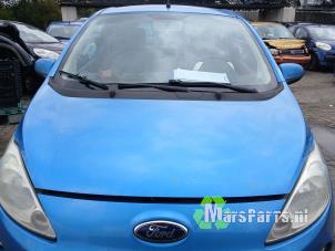 Używane Maska Ford Ka II 1.2 Cena € 100,00 Procedura marży oferowane przez Autodemontagebedrijf De Mars