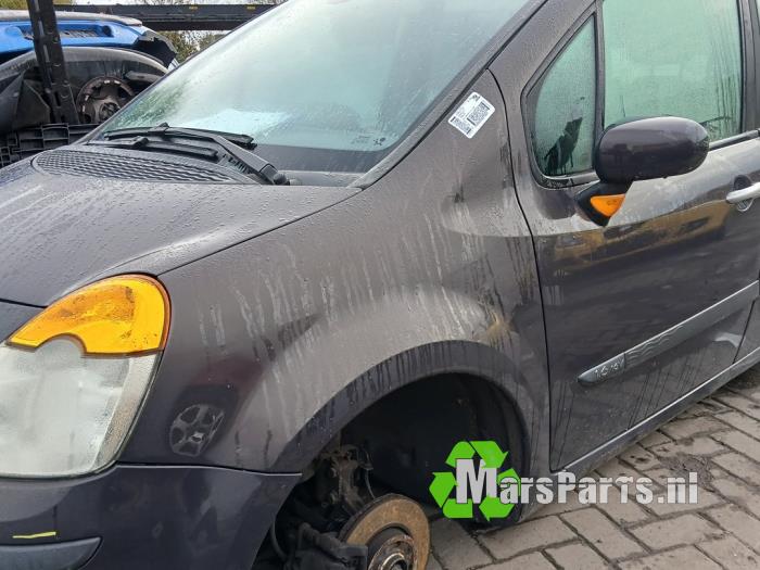 Ekran lewy przód z Renault Modus/Grand Modus (JP) 1.6 16V 2005