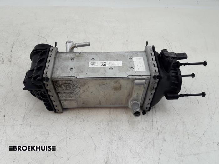 Laddluftkylare från en Volkswagen Golf VIII (CD1) 1.0 eTSI 12V 2021