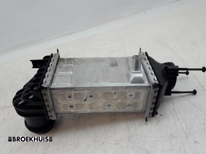 Laddluftkylare från en Volkswagen Golf VIII (CD1) 1.0 eTSI 12V 2021