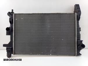 Gebruikte Radiateur Ford C-Max (DXA) 1.0 Ti-VCT EcoBoost 12V 125 Prijs € 50,00 Margeregeling aangeboden door Autobedrijf Broekhuis B.V.