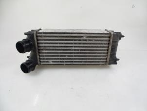 Gebruikte Intercooler Peugeot 5008 I (0A/0E) 1.6 HDiF 16V Prijs € 40,00 Margeregeling aangeboden door Autobedrijf Broekhuis B.V.