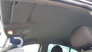 Gebruikte Hemelbekleding Opel Insignia 2.0 CDTI 16V 140 ecoFLEX Prijs € 149,99 Margeregeling aangeboden door Autodemontage Aandijk