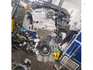 Gebruikte Motor Skoda Octavia Combi (NXAC) 1.0 TSI 12V Prijs € 1.250,00 Margeregeling aangeboden door De Witte Boerderij AutoMotive