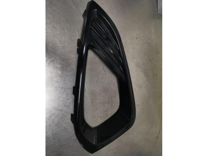 Täcklock, dimljus, höger från en Ford Fiesta 7 1.0 EcoBoost 12V 100 2018