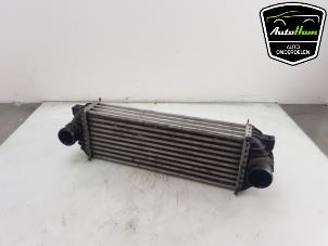 Gebruikte Intercooler Ford Transit Connect 1.8 TDdi LWB Euro 4 Prijs € 25,00 Margeregeling aangeboden door AutoHam