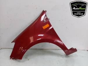 Gebruikte Spatbord links-voor Renault Clio III (BR/CR) 1.2 16V Quickshift 5 Prijs € 50,00 Margeregeling aangeboden door AutoHam