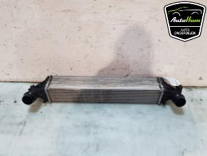 Begagnade Laddluftkylare Opel Astra K 1.6 CDTI 110 16V Pris € 50,00 Marginaltabell erbjuds av AutoHam