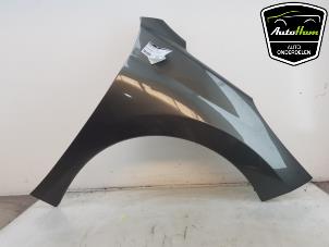 Begagnade Framskärm, höger Peugeot 207/207+ (WA/WC/WM) 1.4 16V VTi Pris € 75,00 Marginaltabell erbjuds av AutoHam