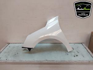 Begagnade Framskärm, vänster Opel Corsa F (UB/UH/UP) 1.2 12V 130 Pris € 275,00 Marginaltabell erbjuds av AutoHam