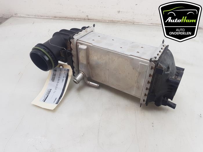 Laddluftkylare från en Volkswagen Polo VI (AW1) 1.0 TSI 12V 2021