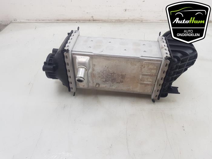 Laddluftkylare från en Volkswagen Polo VI (AW1) 1.0 TSI 12V 2021