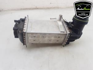 Gebruikte Intercooler Volkswagen Polo VI (AW1) 1.0 TSI 12V Prijs € 95,00 Margeregeling aangeboden door AutoHam