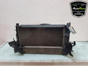 Używane Zestaw chlodnicy Opel Astra K Sports Tourer 1.6 CDTI 110 16V Cena € 225,00 Procedura marży oferowane przez AutoHam