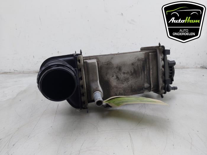 Laddluftkylare från en Volkswagen Golf VIII (CD1) 1.0 TSI 12V 2021