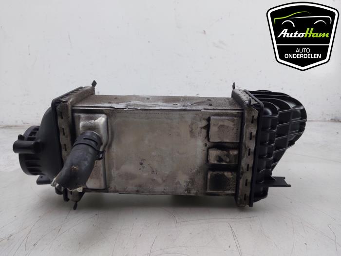 Laddluftkylare från en Volkswagen Golf VIII (CD1) 1.0 TSI 12V 2021