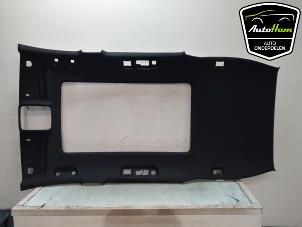 Gebruikte Hemelbekleding Opel Insignia Sports Tourer 2.0 CDTI 16V Prijs € 450,00 Margeregeling aangeboden door AutoHam