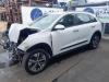 Kia Niro I (DE) E-Niro 64 kWh Dörrfönster, 4-dörrars, vänster fram