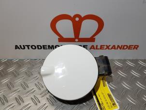 Używane Pokrywa wlewu paliwa Skoda Fabia II Combi 1.2 TDI 12V Greenline Cena € 50,00 Procedura marży oferowane przez Alexander Autodemontage