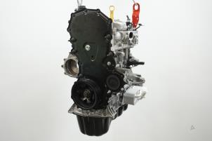 Révisé Moteur Ford Transit 2.0 TDCi 16V Eco Blue 170 RWD Prix € 3.932,50 Prix TTC proposé par Brus Motors BV