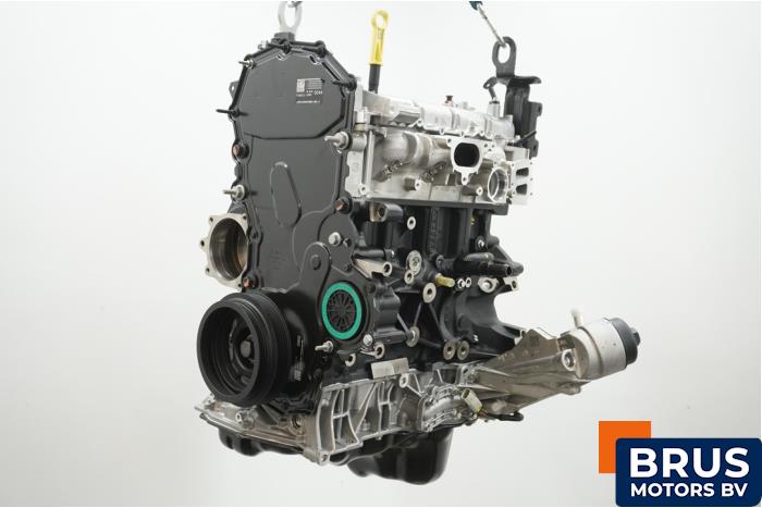 Moteur d'un Ford Ranger 2.0 EcoBlue 16V 4x4 2024