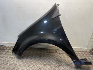 Gebruikte Spatbord links-voor Renault Clio III (BR/CR) 1.2 16V 75 Prijs € 24,00 Margeregeling aangeboden door Autodemontagebedrijf Middelburg B.V